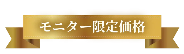 モニター限定価格